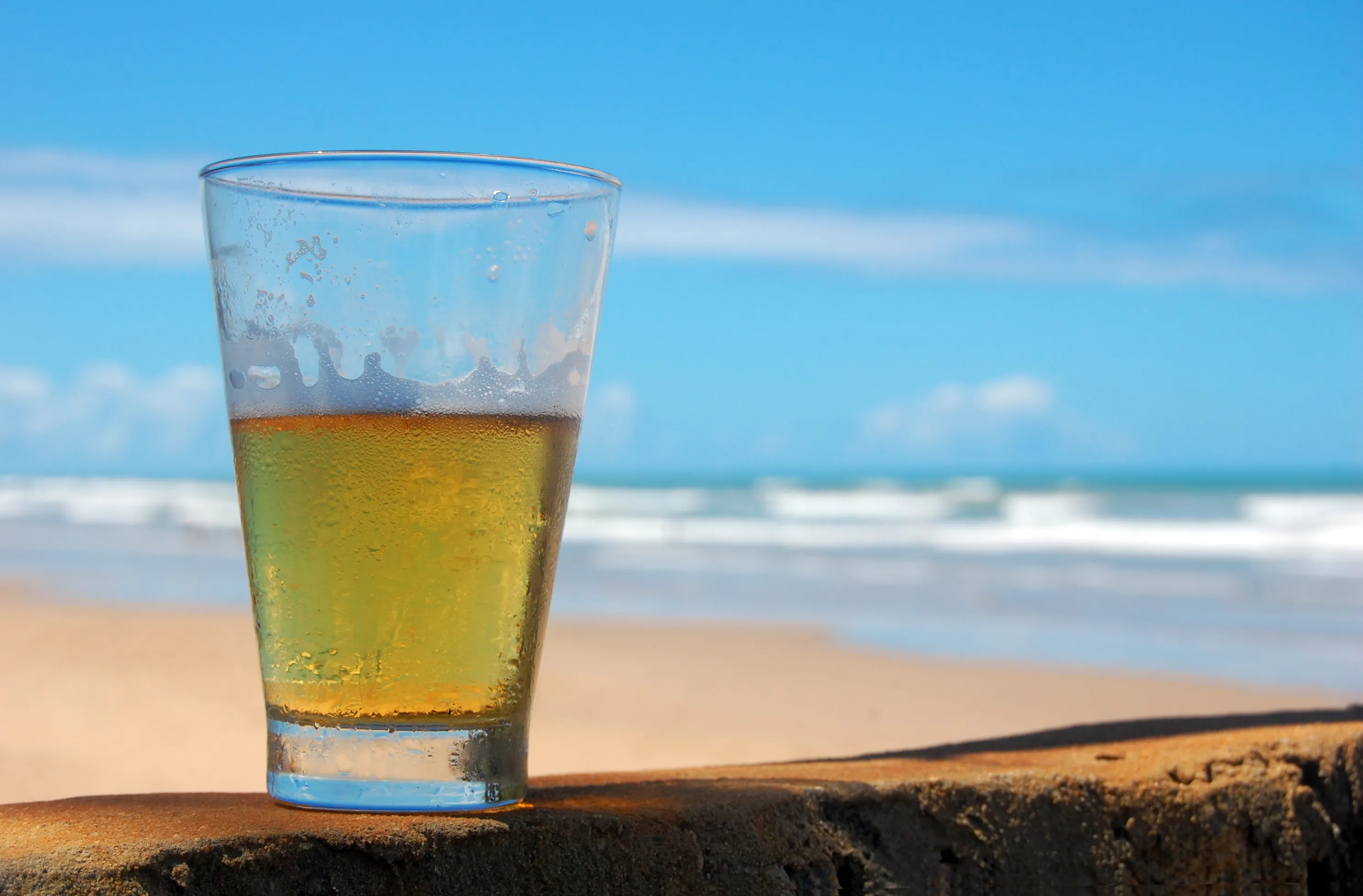 Take a sipping tour around the Sunshine State with wonderful options for Florida Beer & Wine. Our itinerary takes you coast to coast, ending in the keys!