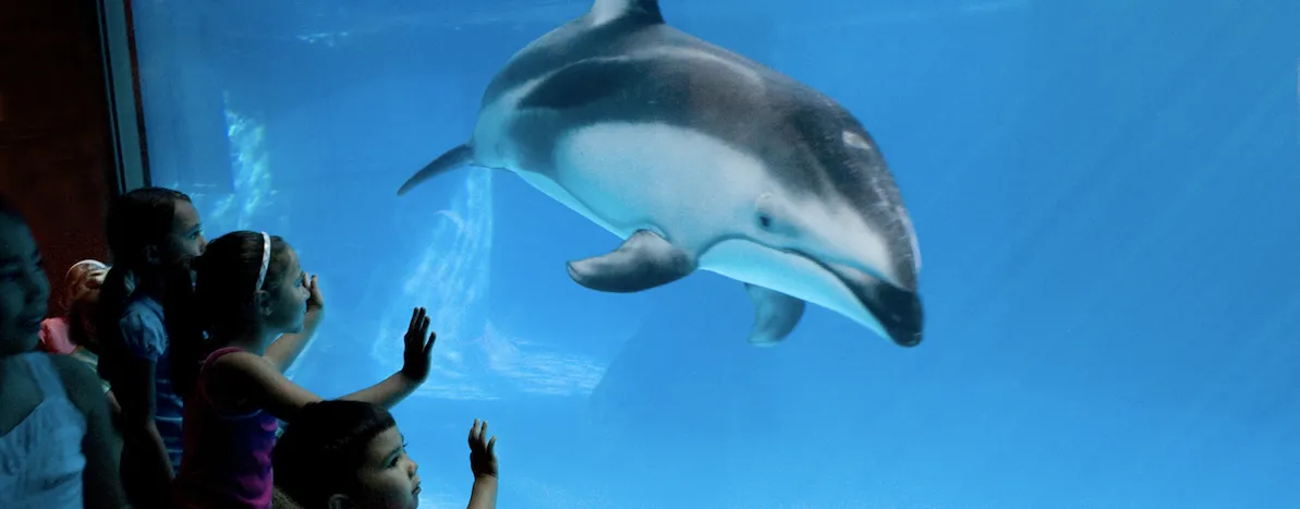 Check out some of the best Seaside Aquariums all over the United States where visitors are educated in conservation and restoration of the oceans!