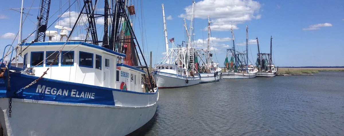 Recreational shrimping commonly occurs off docks and piers, people's boats, and from the shoreline, both oceanfront and estuarine" in Lowcountry, GA!