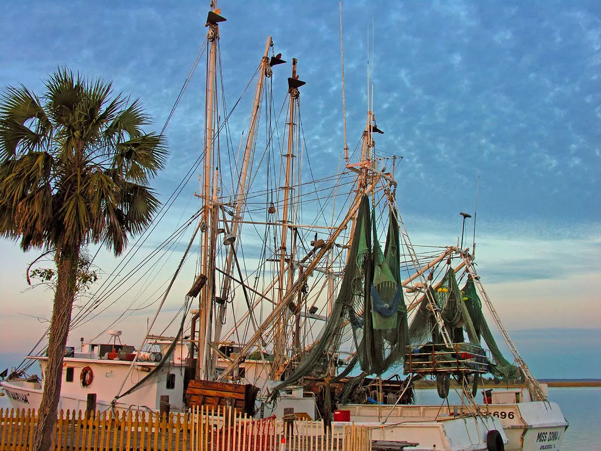 %%excerpt%% Panama City Beach became an instant resort town repeatedly topping best beach lists. The powdery white sand is not only alluring, it's comfy cool even on the hottest days.