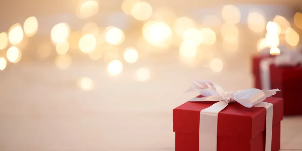 We have compiled a list of the best nauti shopper gifts to get for the leisure boater in your life this holiday season! Check it out here.