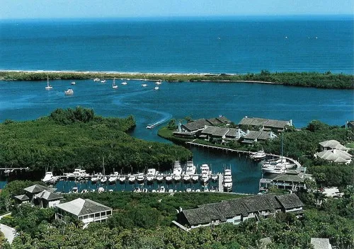 Loblolly Bay