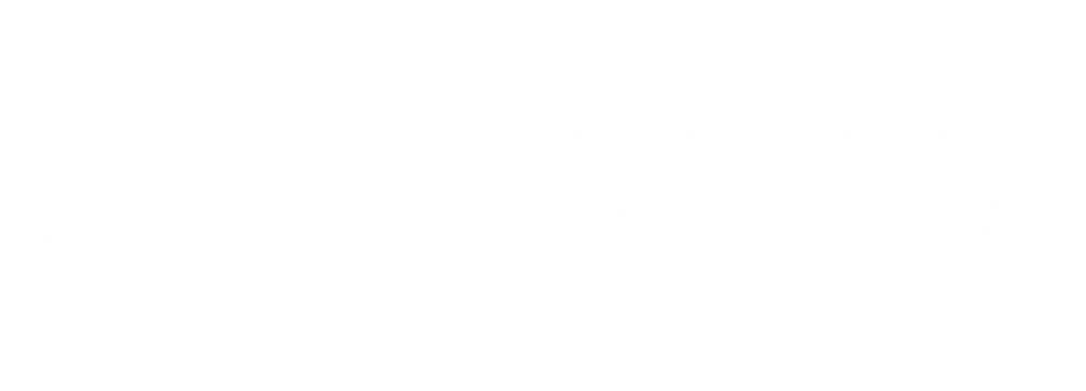 Toyota logo with stylized overlapping ovals next to the brand name in uppercase letters.