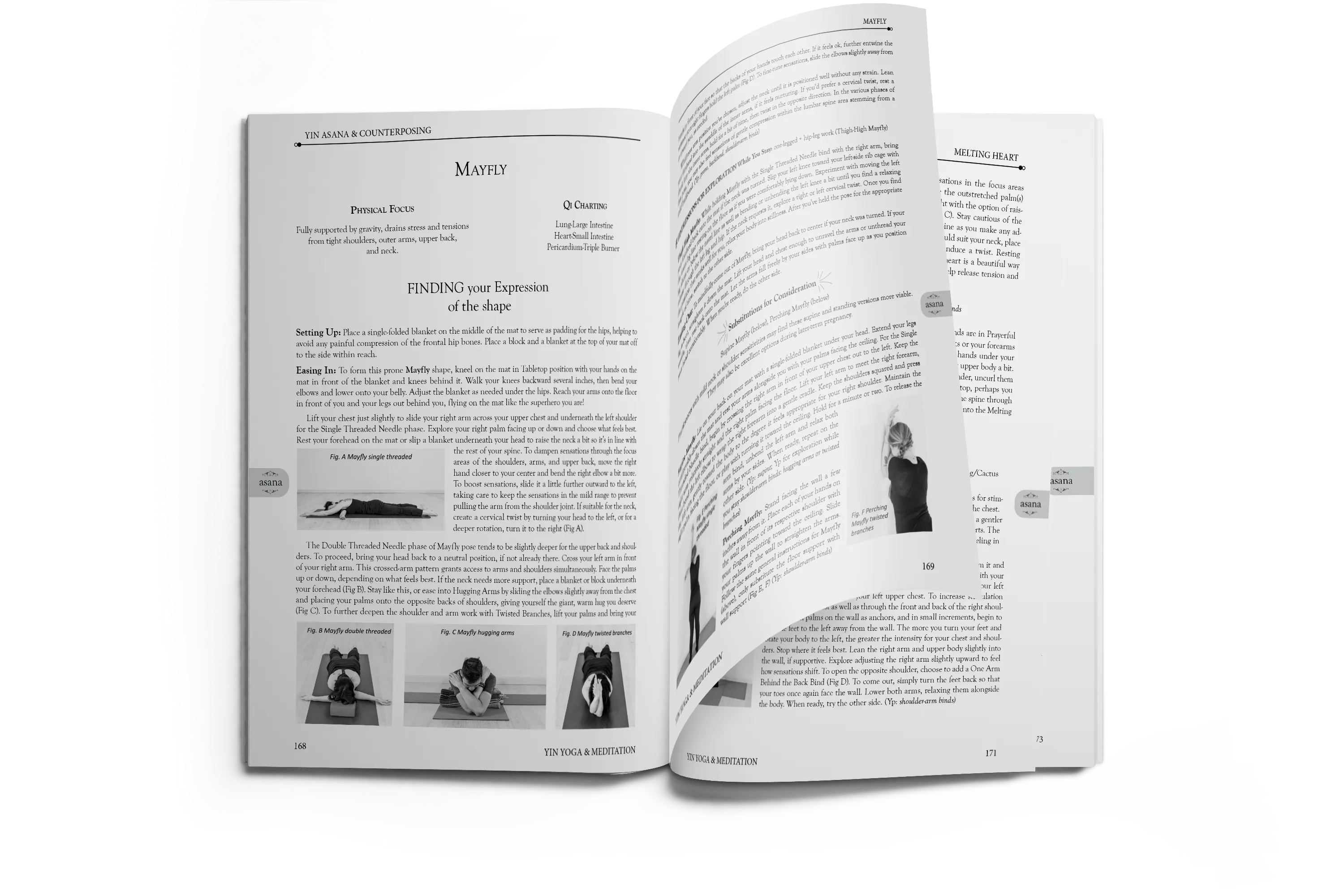 Yin Yoga book sequences class themes