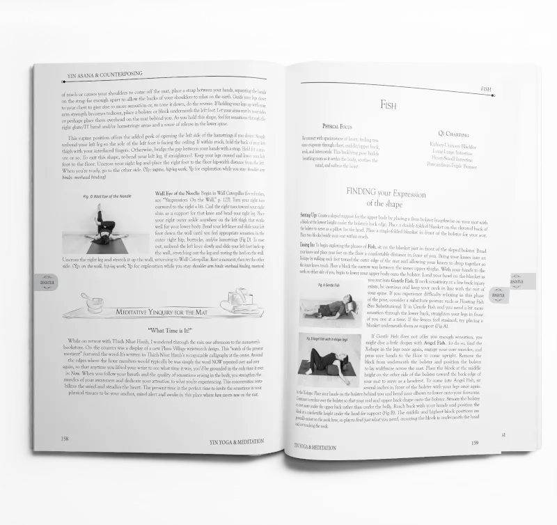 Yin Yoga book for teachers and practitioners