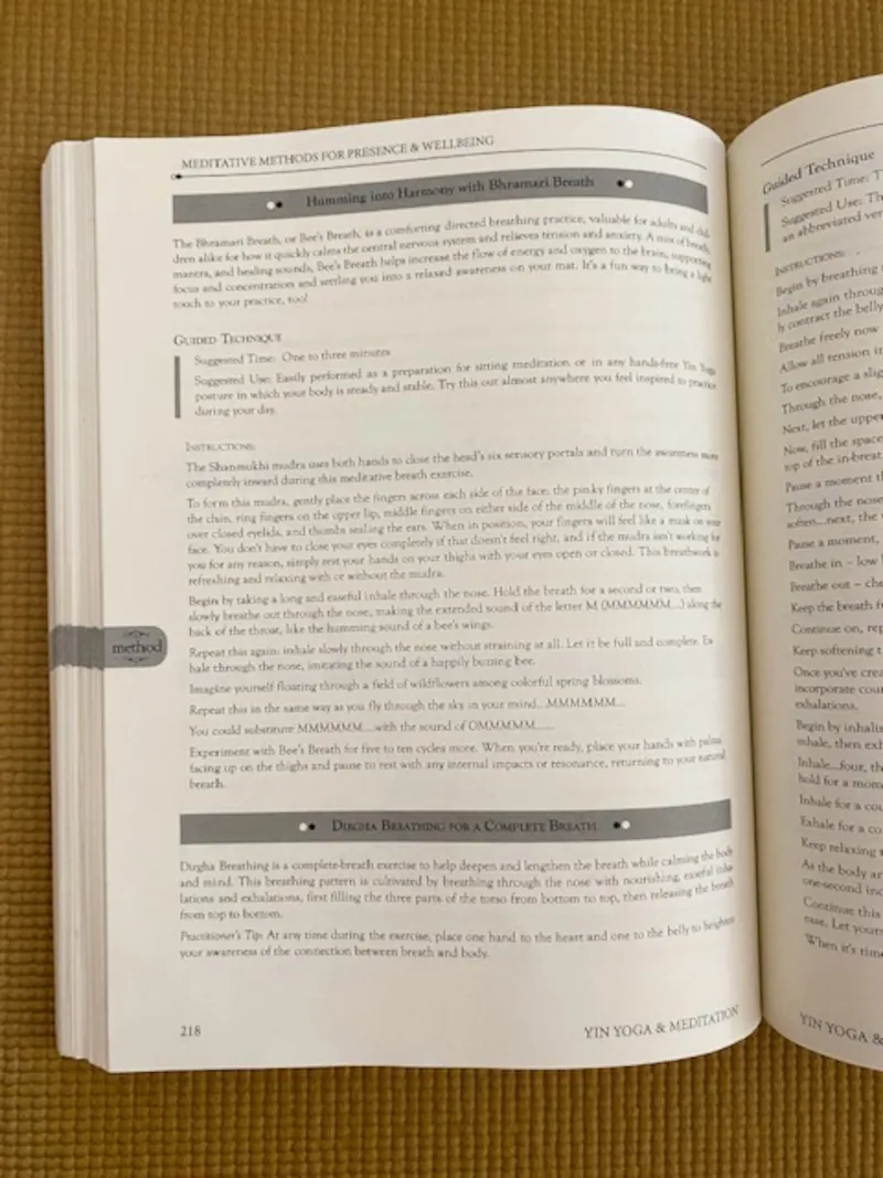 YIn Yoga & Meditation: A Mandala Map for Practice, Teaching, & Beyond