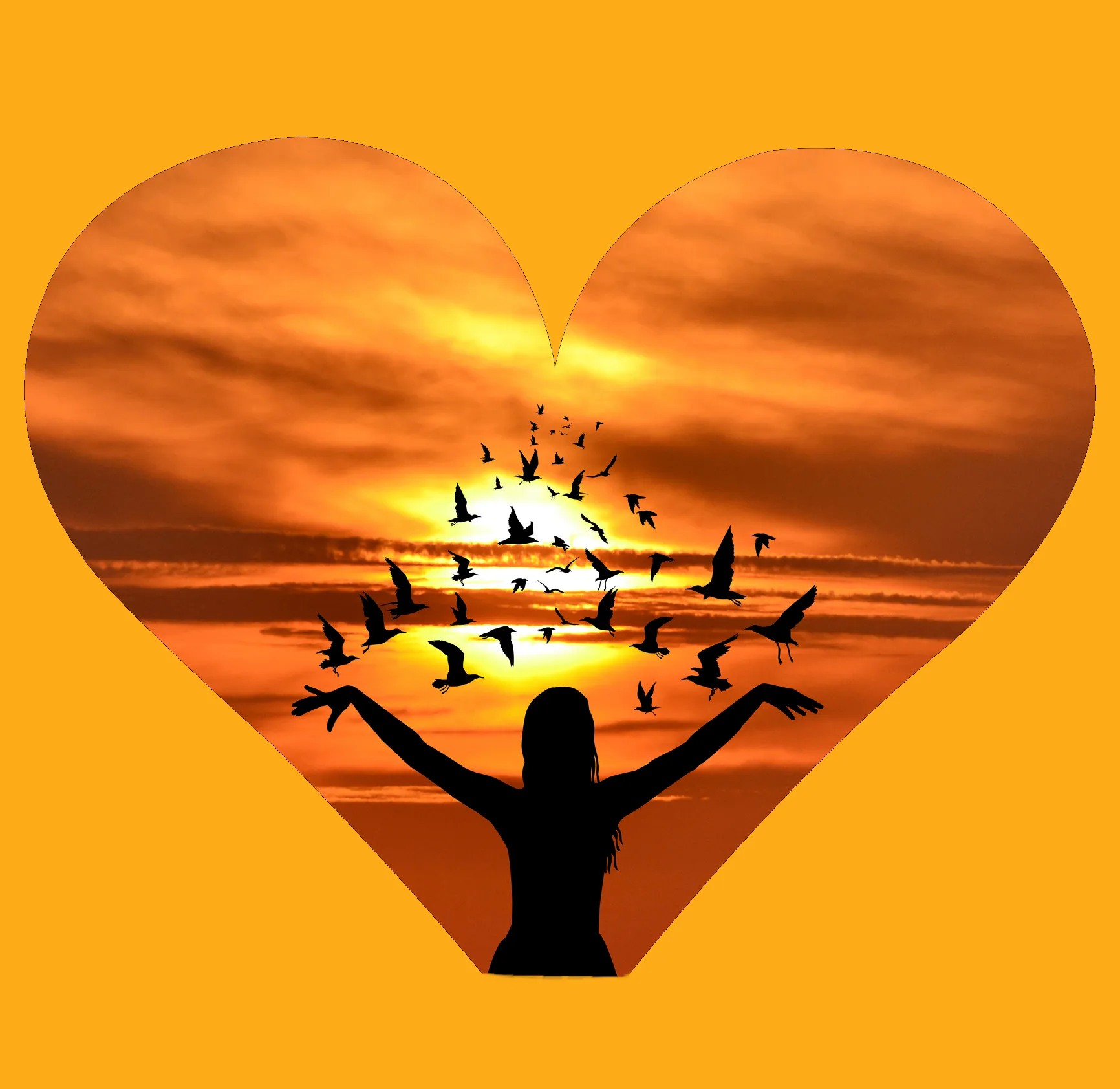 Yin Yoga & Meditation Training with Sagel