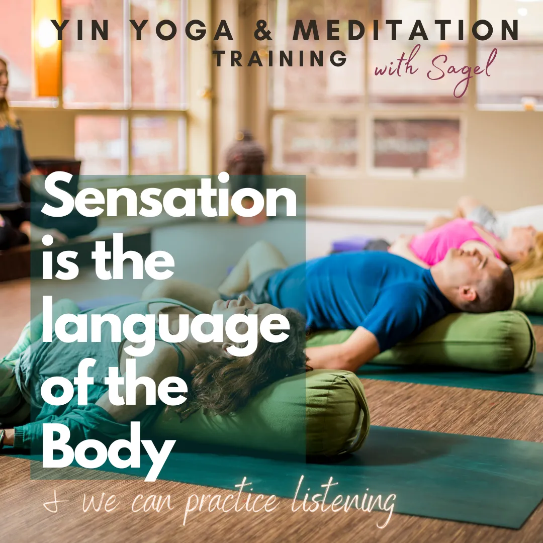 https://www.yinandmeditation.com/yin-yoga-training/upcoming-trainings