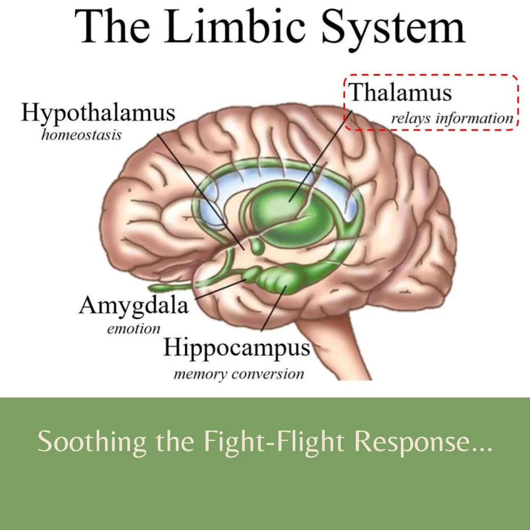 online yoga nidra deep relaxation practice