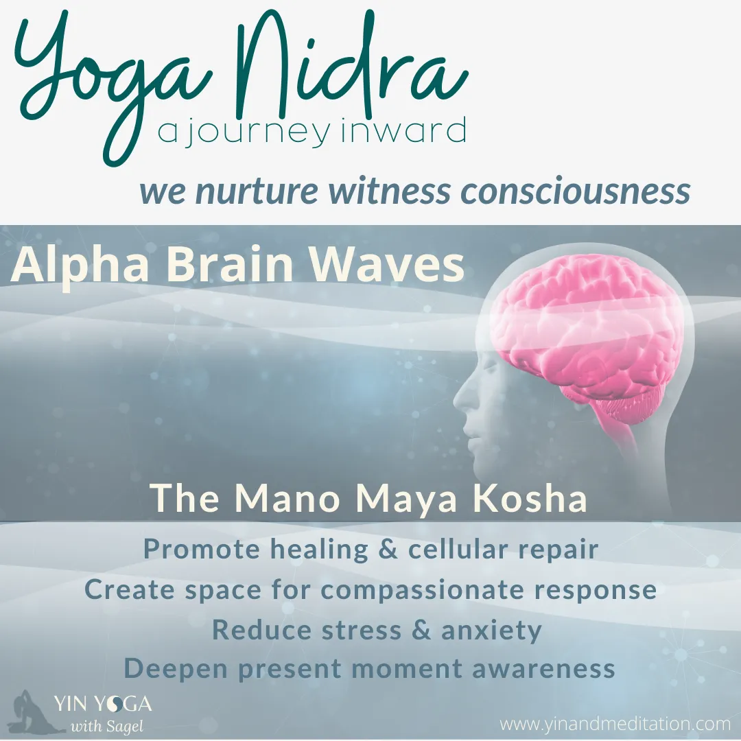 a picture of a brain and alpha brain waves