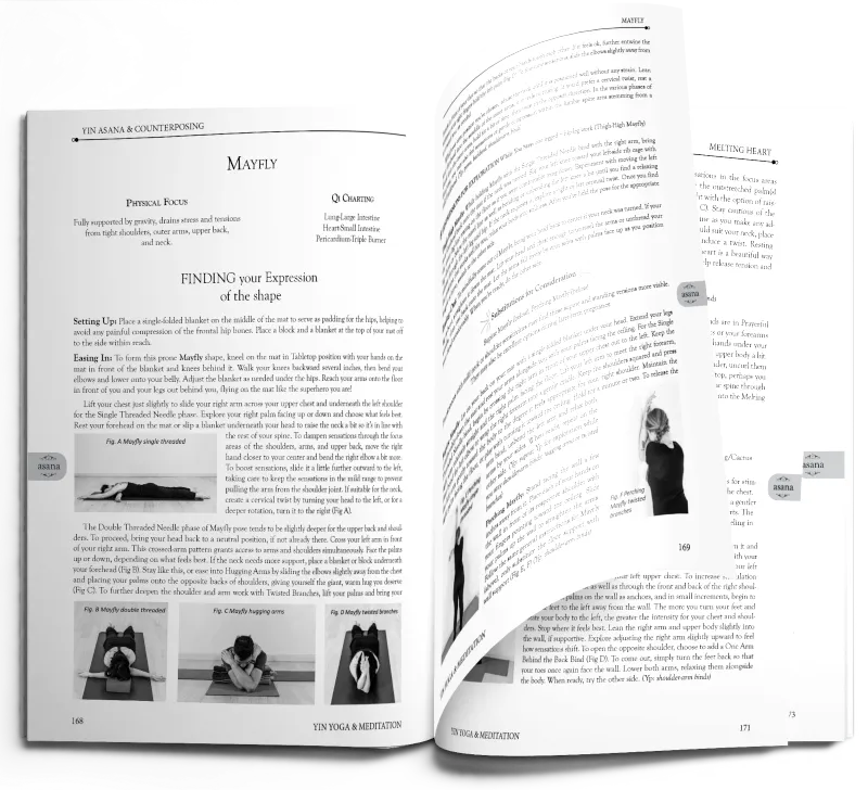 New Book Yin Yoga & Meditation A Mandala Map for Practice, Teaching, & Beyond