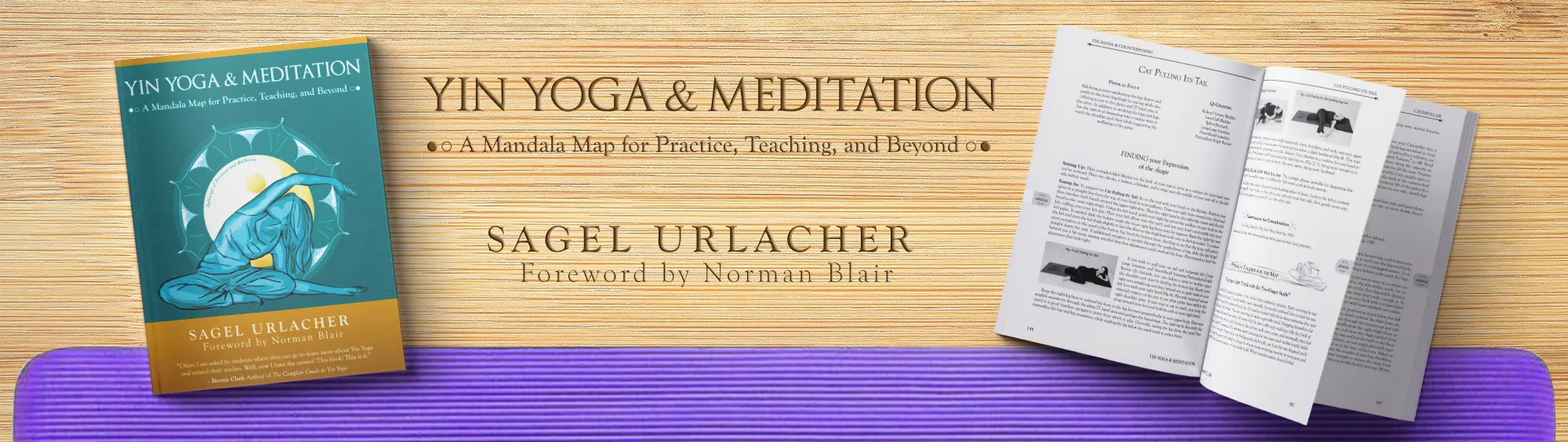 New Book Yin Yoga & Meditation A Mandala Map for Practice, Teaching, and Beyond