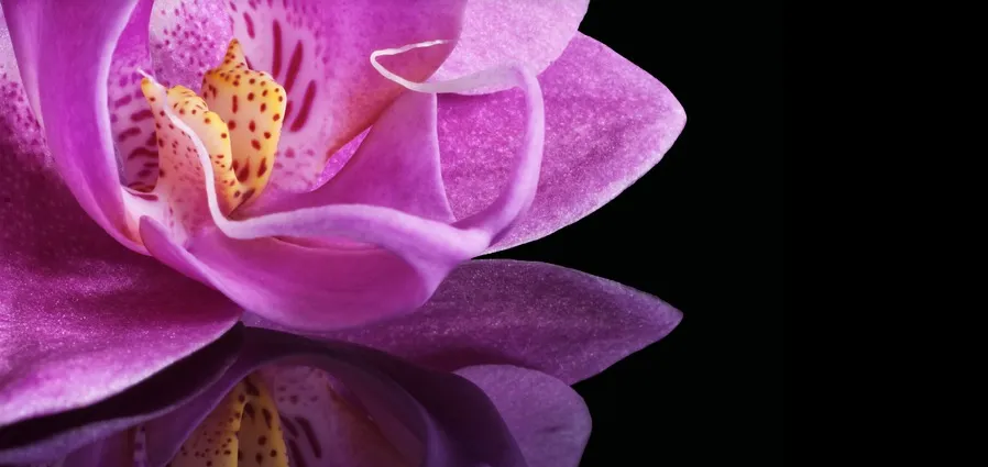 Befriending the Breath