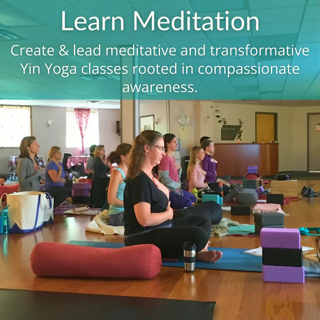 a class of yoga students sitting in meditation