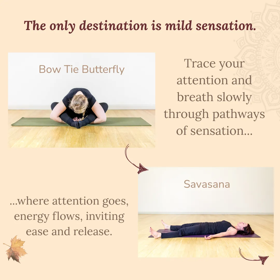 yogis on a yoga mat doing yin yoga poses 