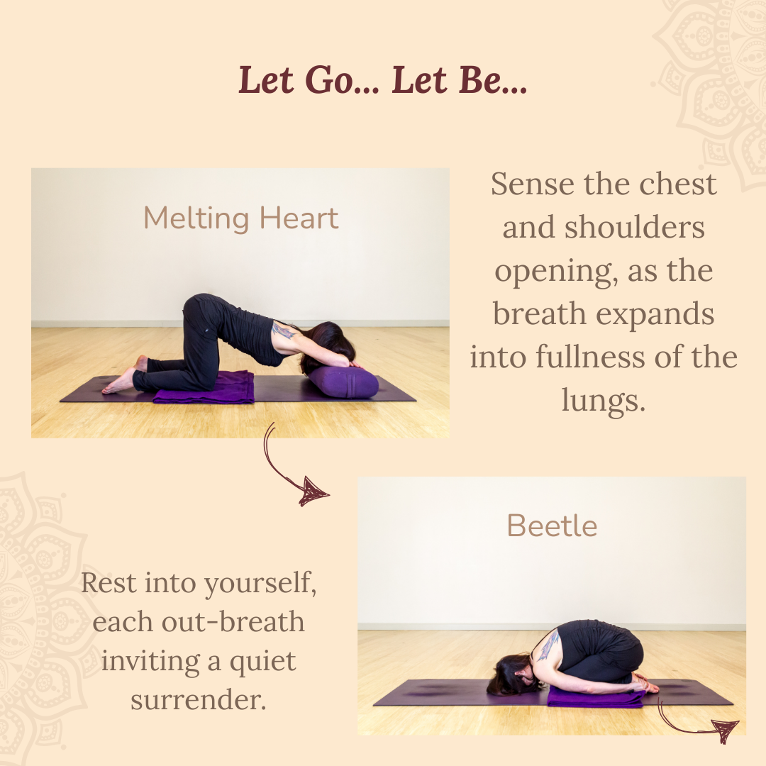 yogis on a yoga mat doing yin yoga poses