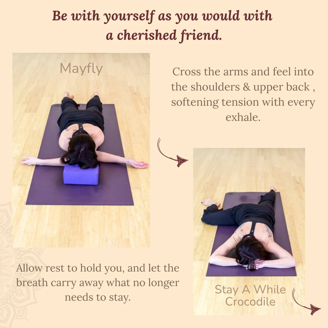 yogis on a yoga mat doing yin yoga poses