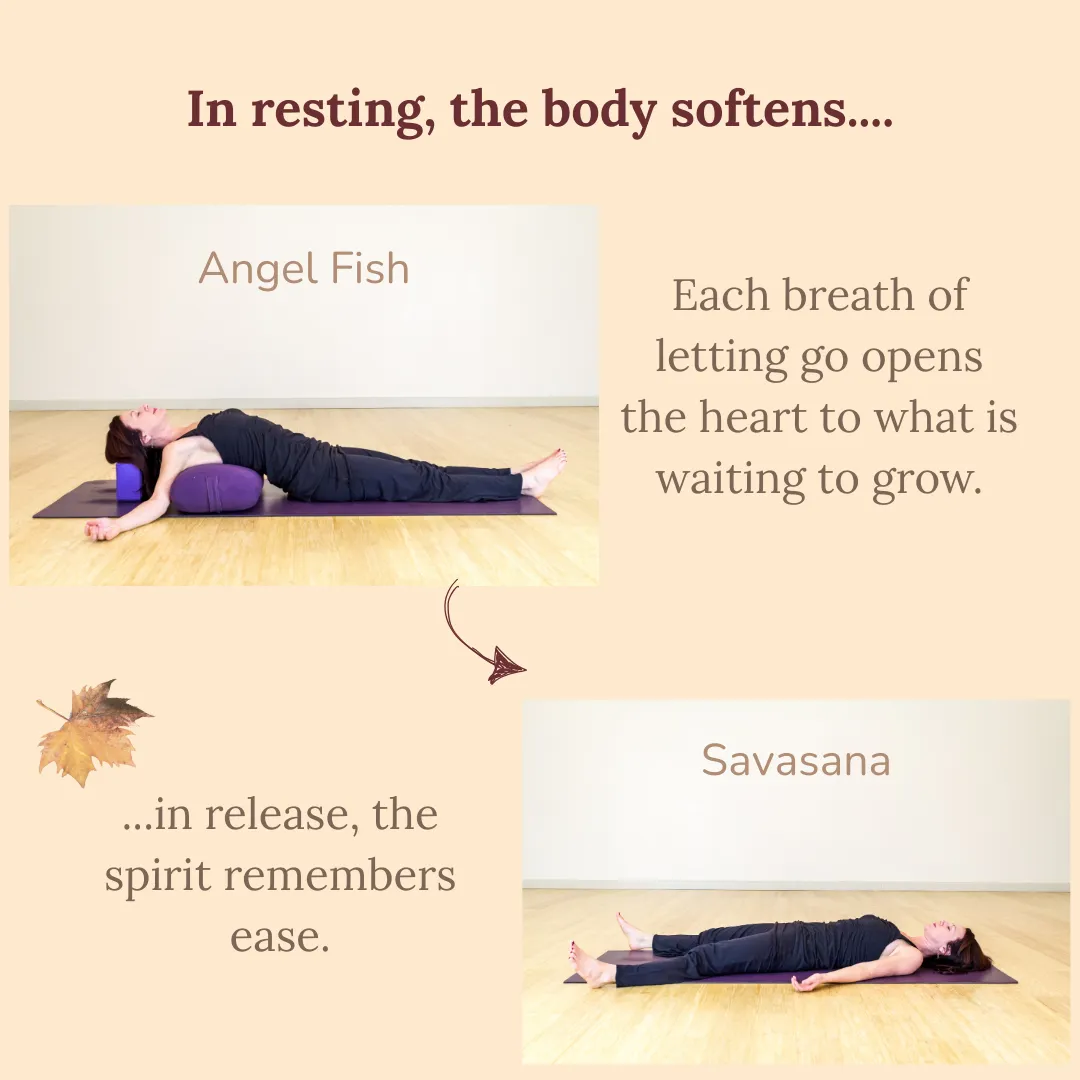 yogis on a yoga mat doing yin yoga poses