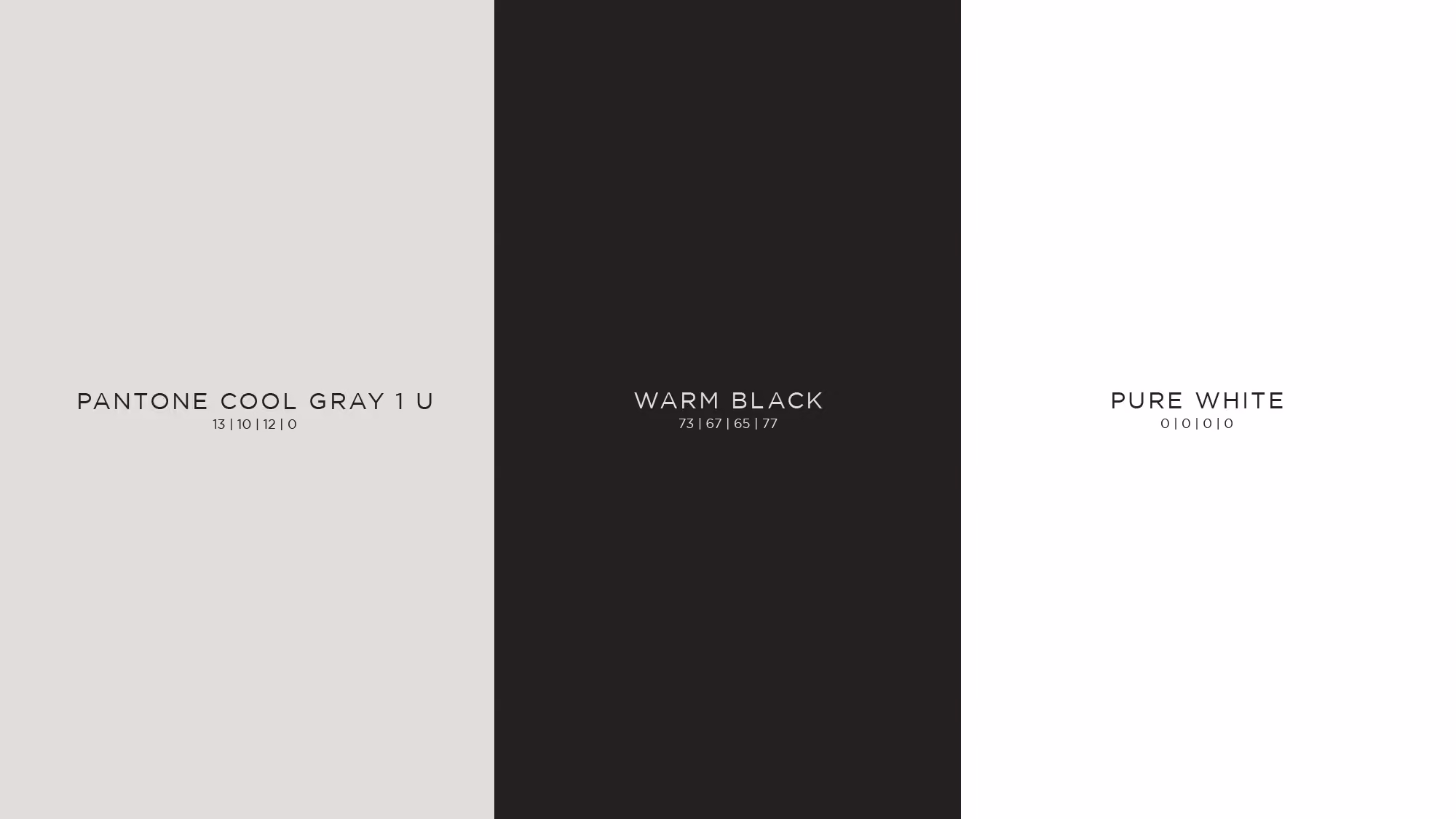 Anew Aesthetic: Brand Color Palette consisting of Cool Gray, Warm Black and Pure White