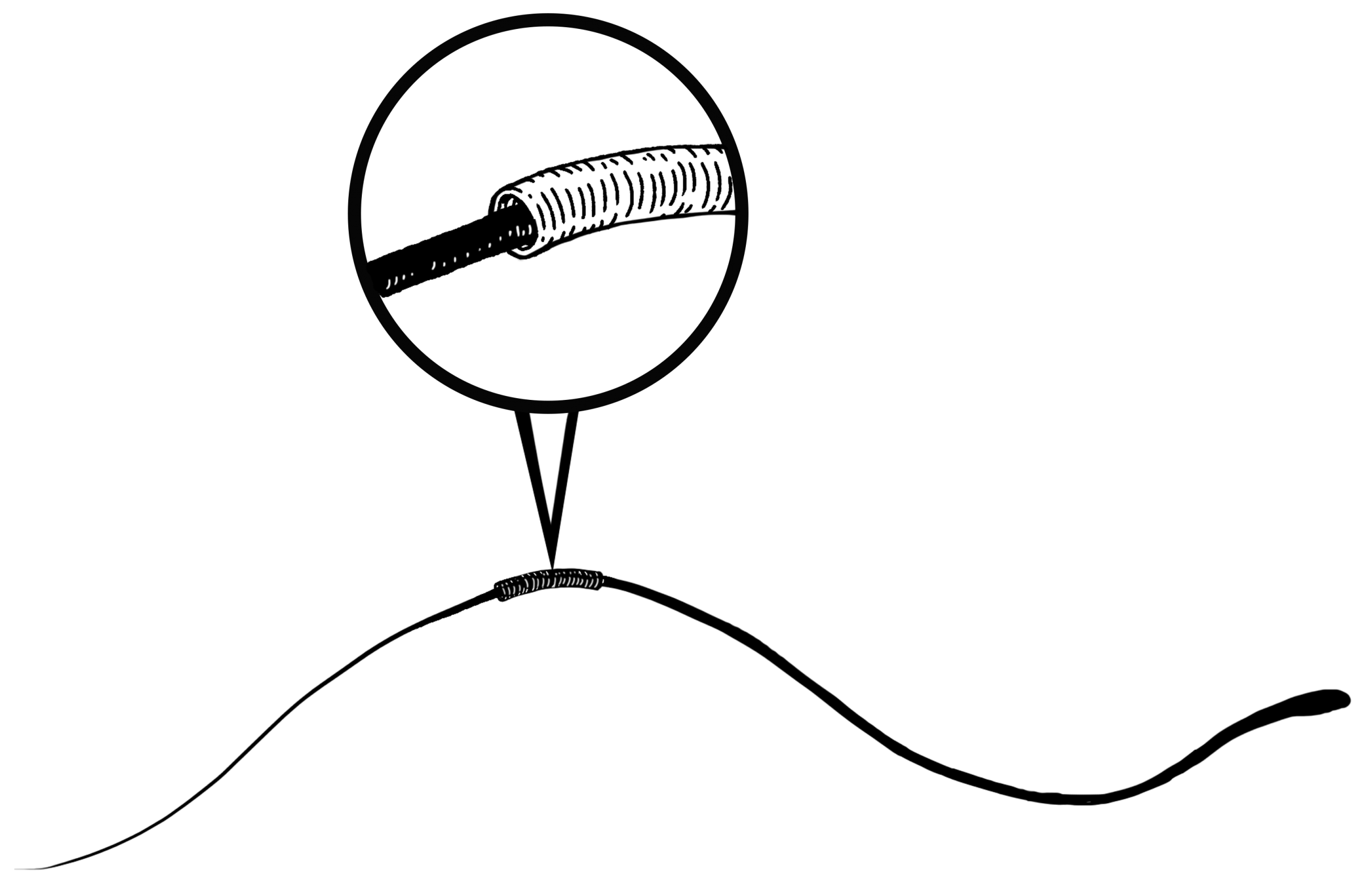 Coil relative to human hair