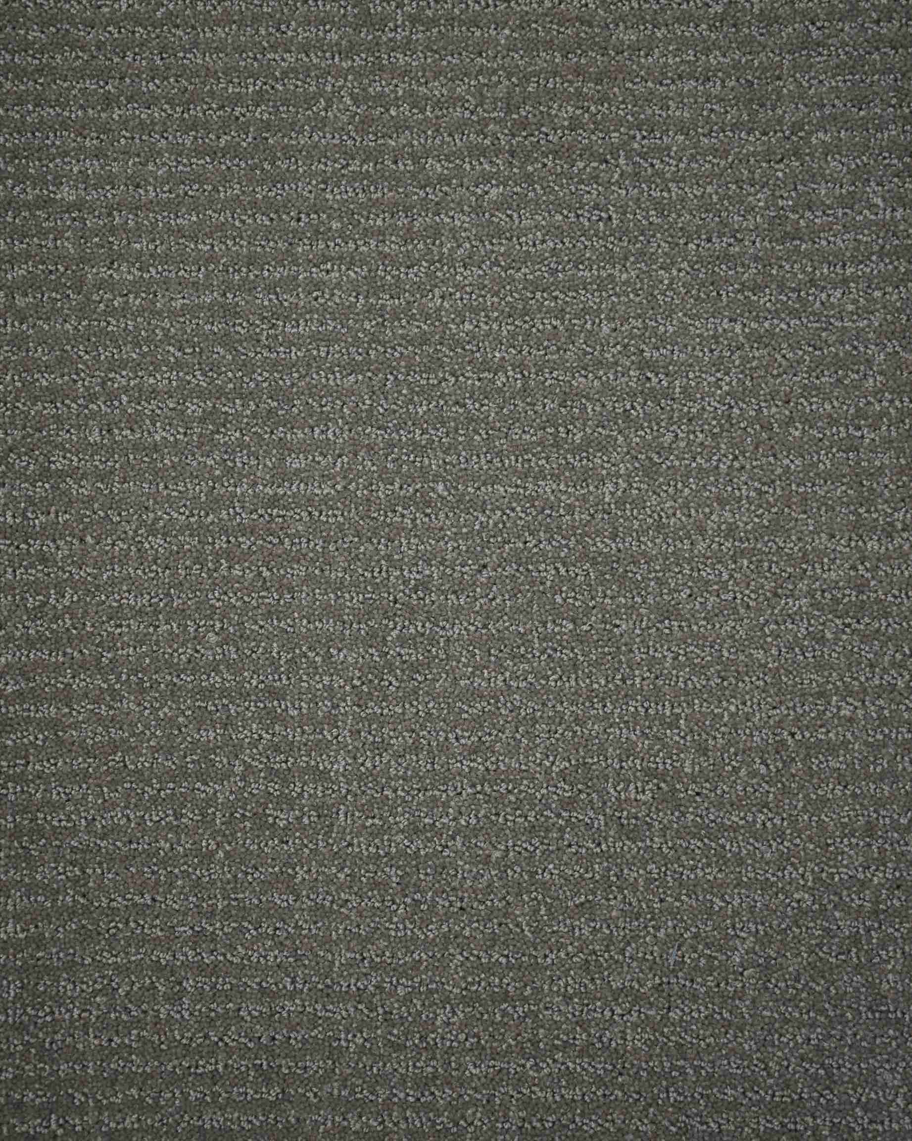 Boucle Anthracite Tip Sheared