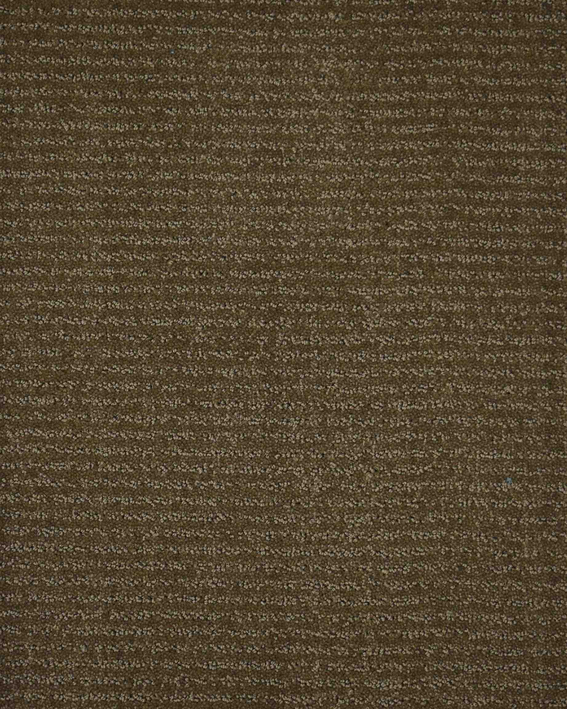 Boucle Bronze Tip Sheared