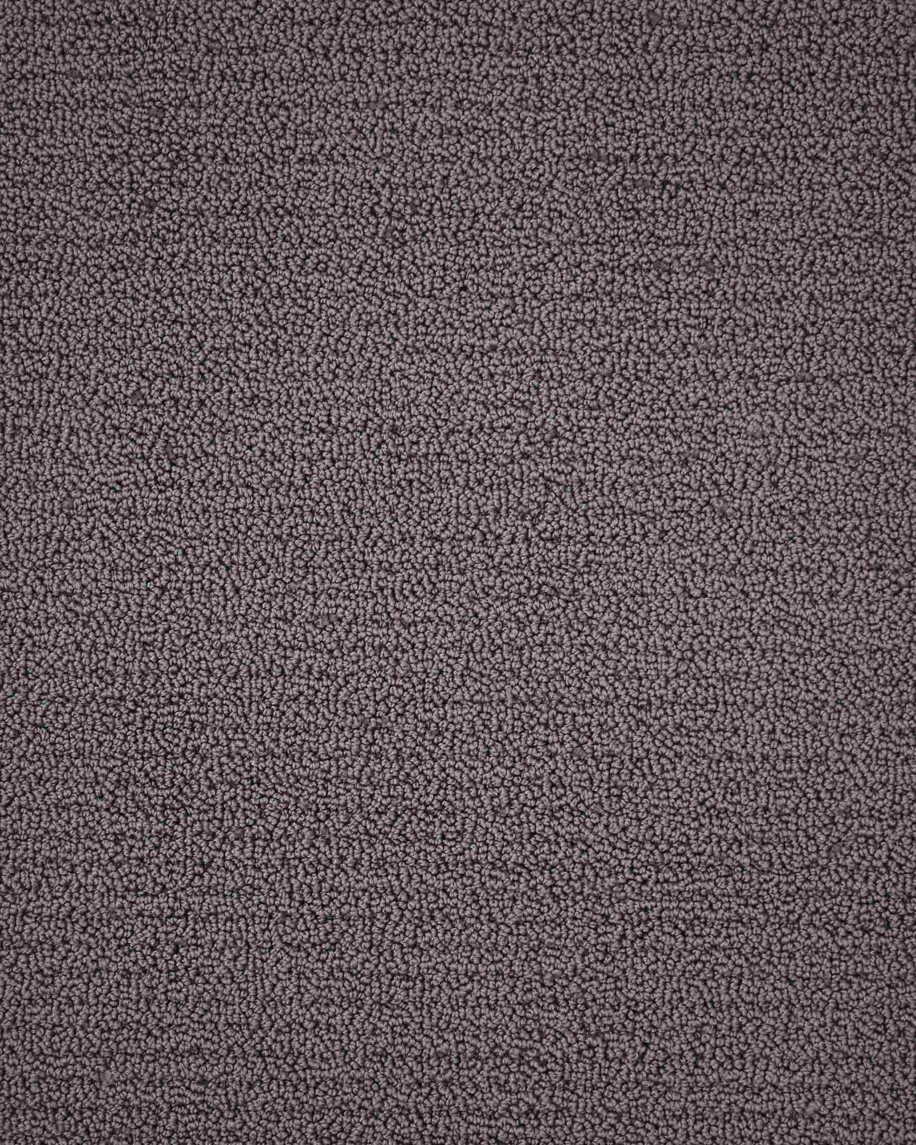 Boucle LT. Amethyst Loop