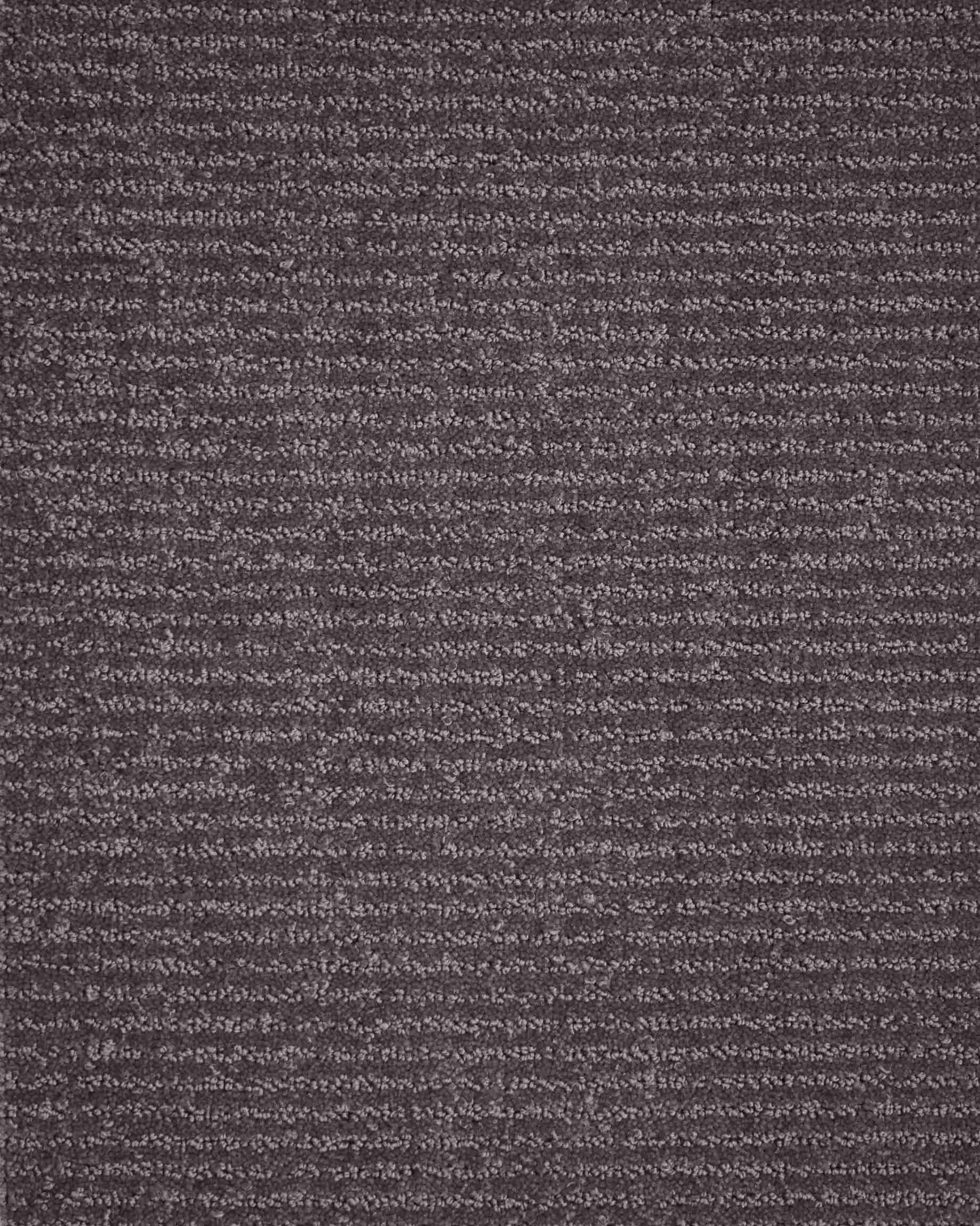 Boucle LT. Amethyst Tip Sheared