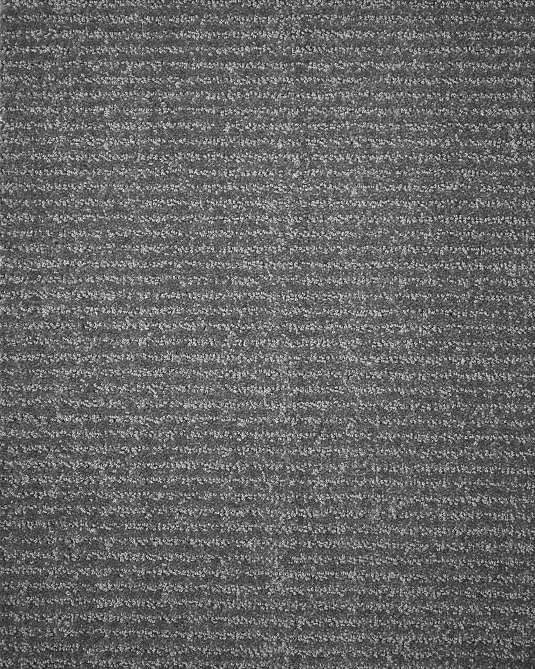 Boucle Silver Tip Sheared