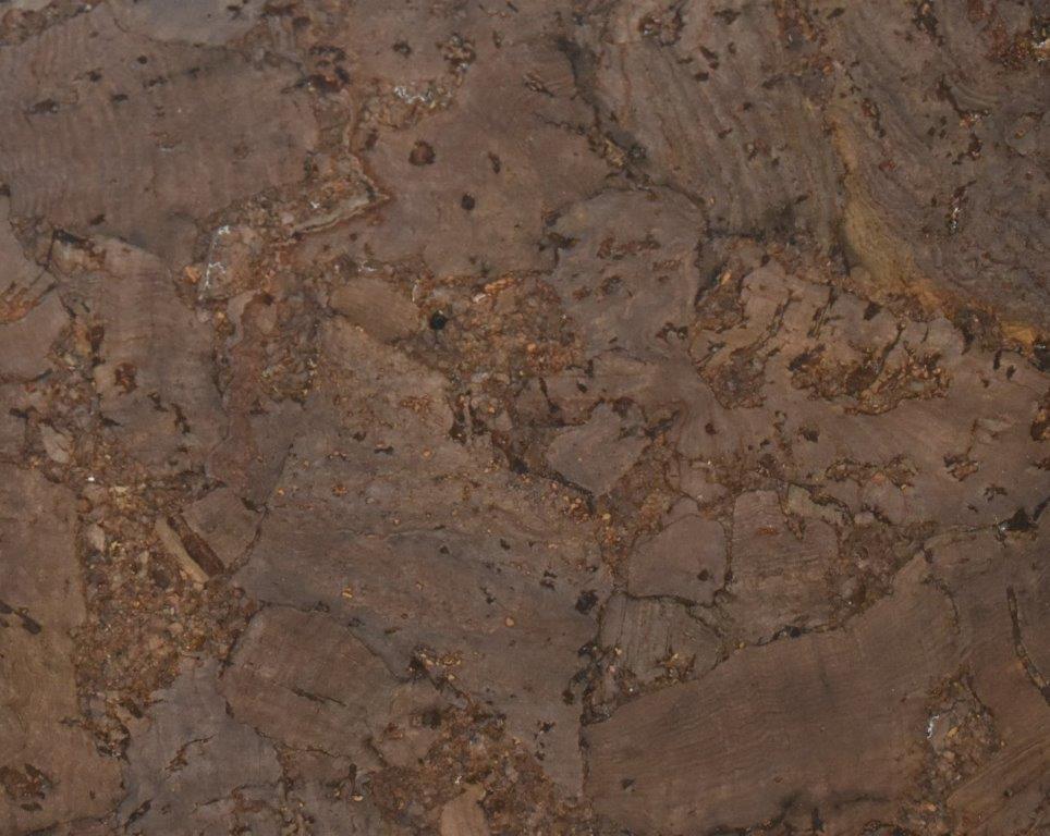 Ecology I Sardinia Dark