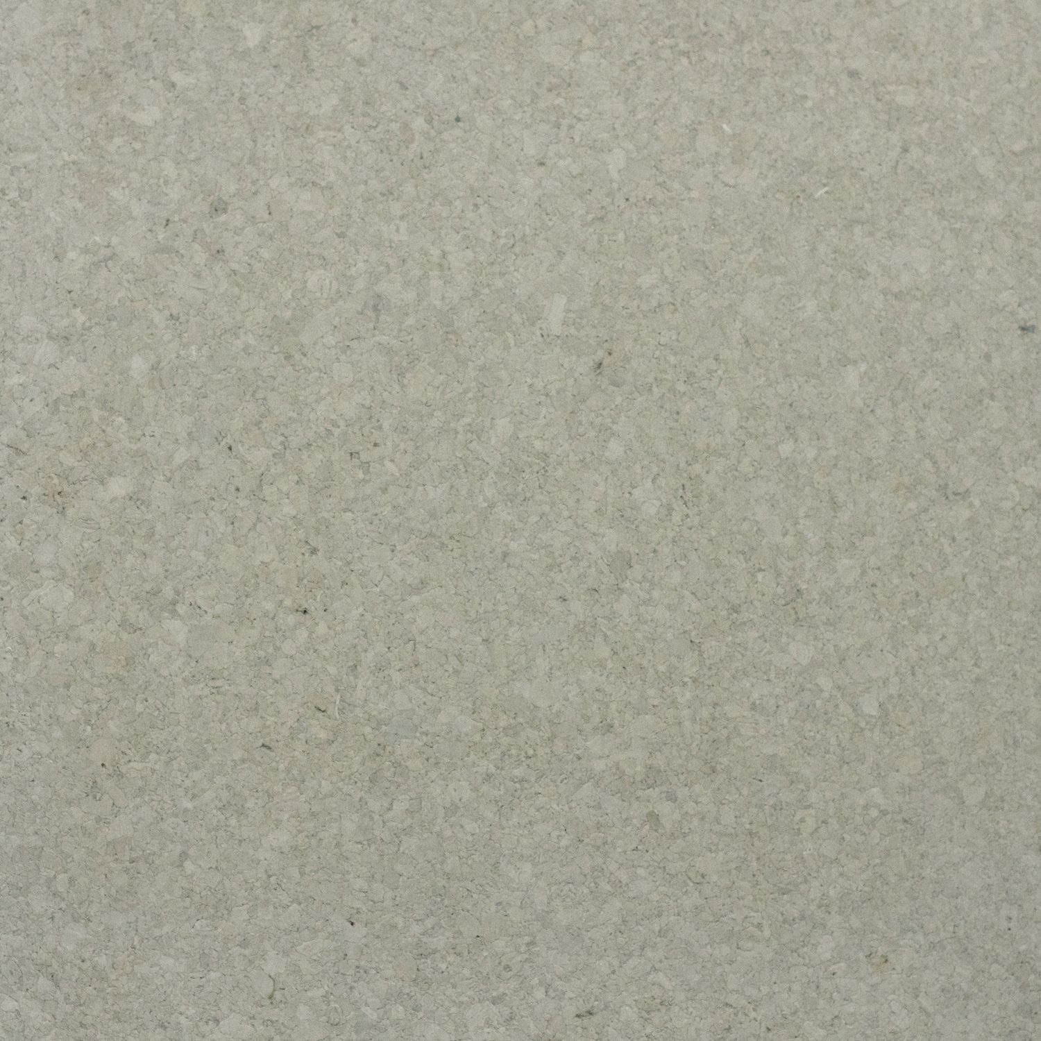 Ecology II Channel Islands