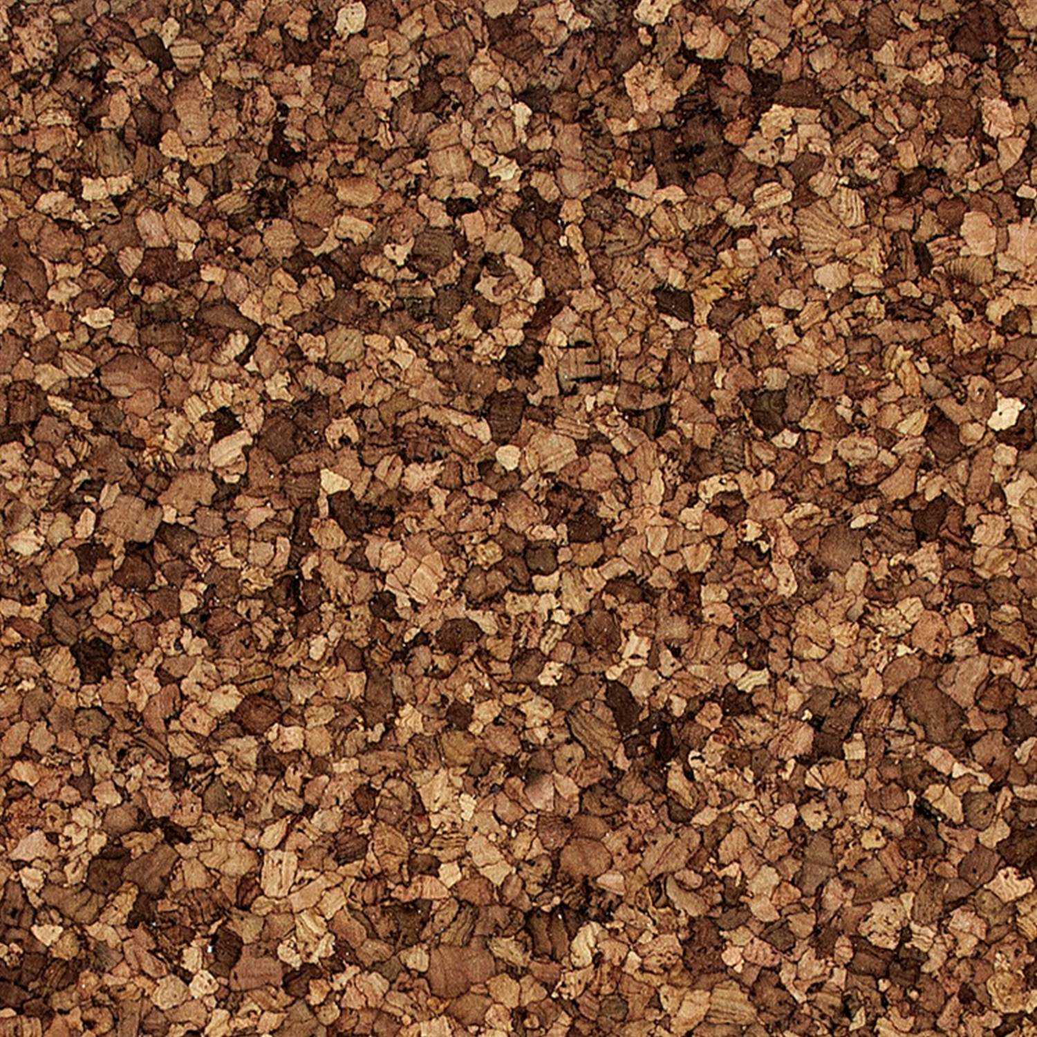 Ecology II Composite