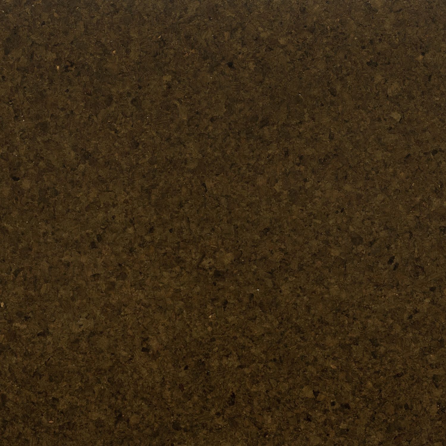 Ecology II Death Valley