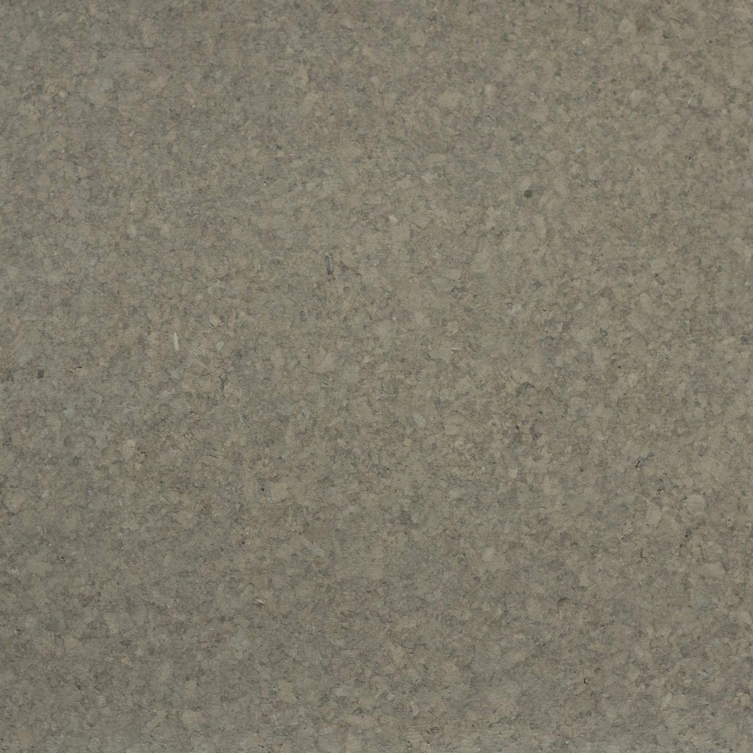 Ecology II Great Basin