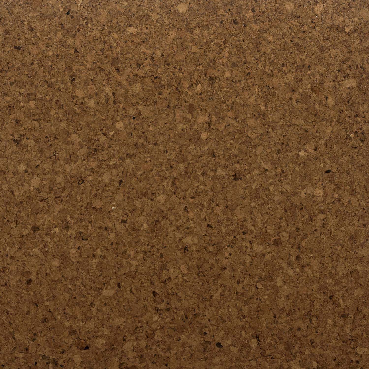 Ecology II Mesa Verde