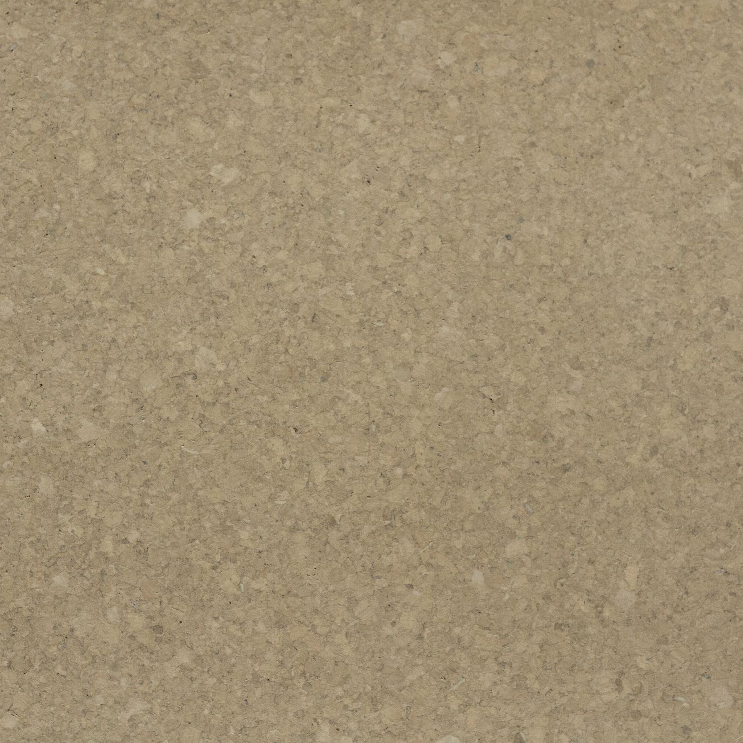 Ecology II Yellowstone