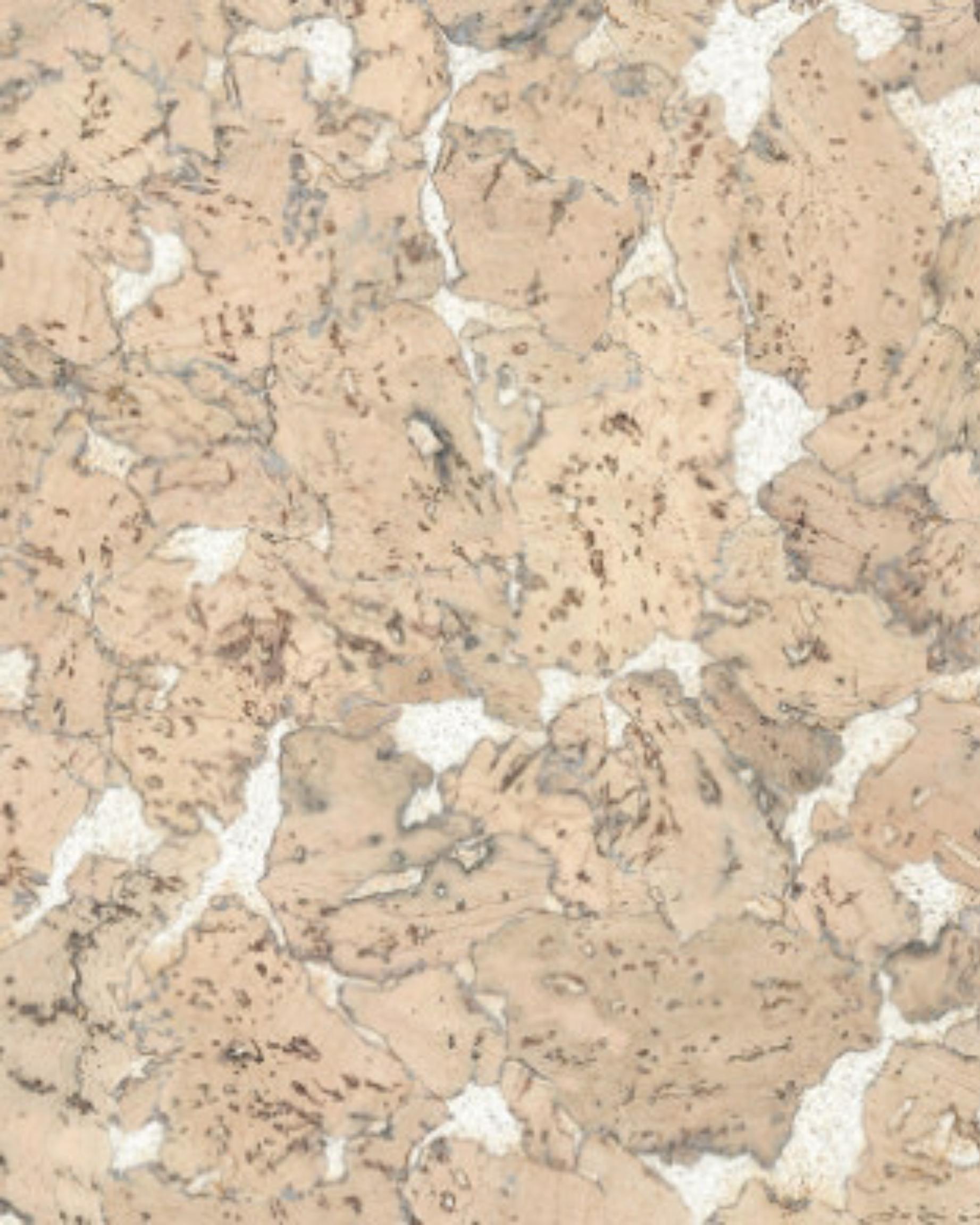 Ecology III Patagonia