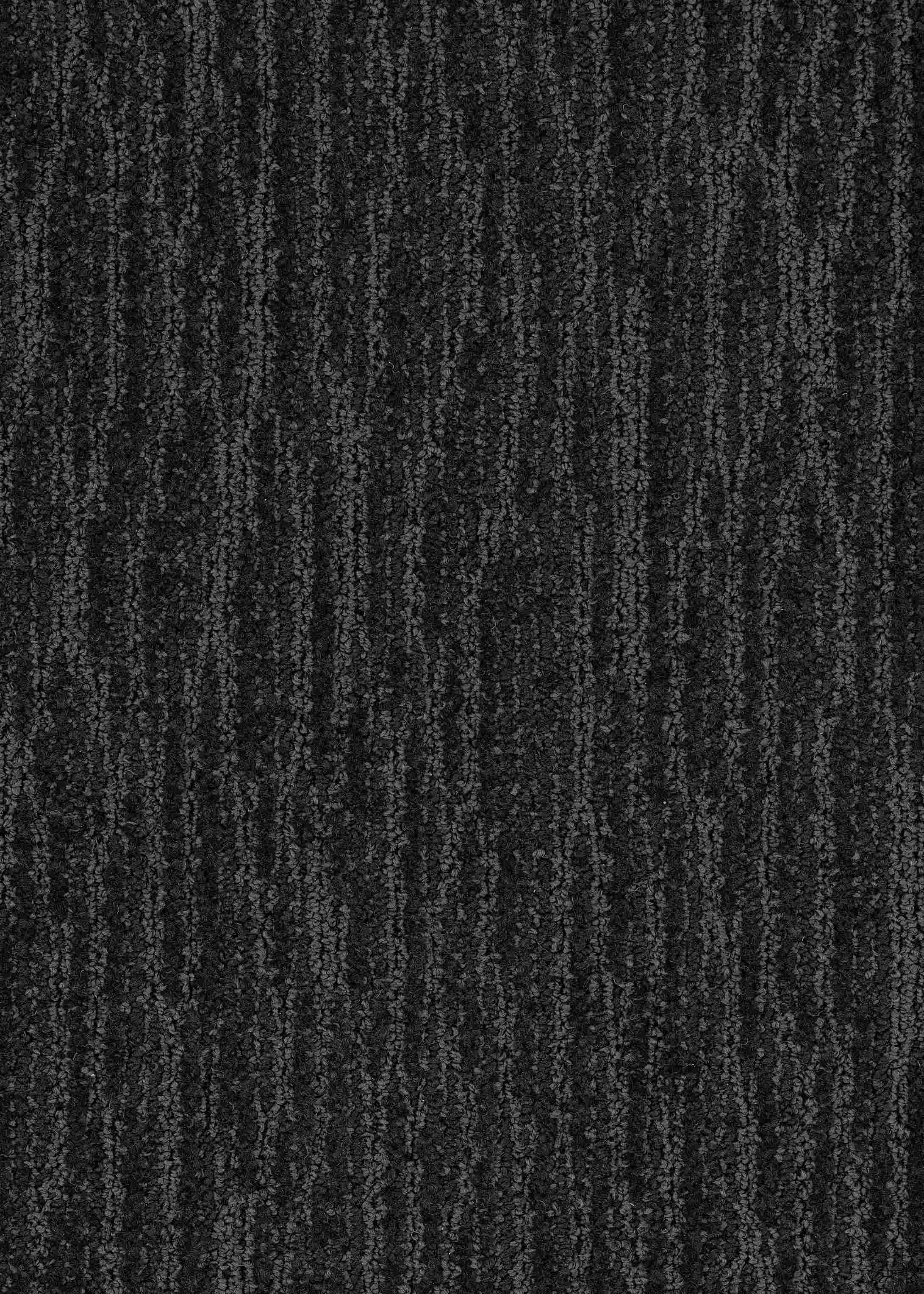 Everyday Anticipation