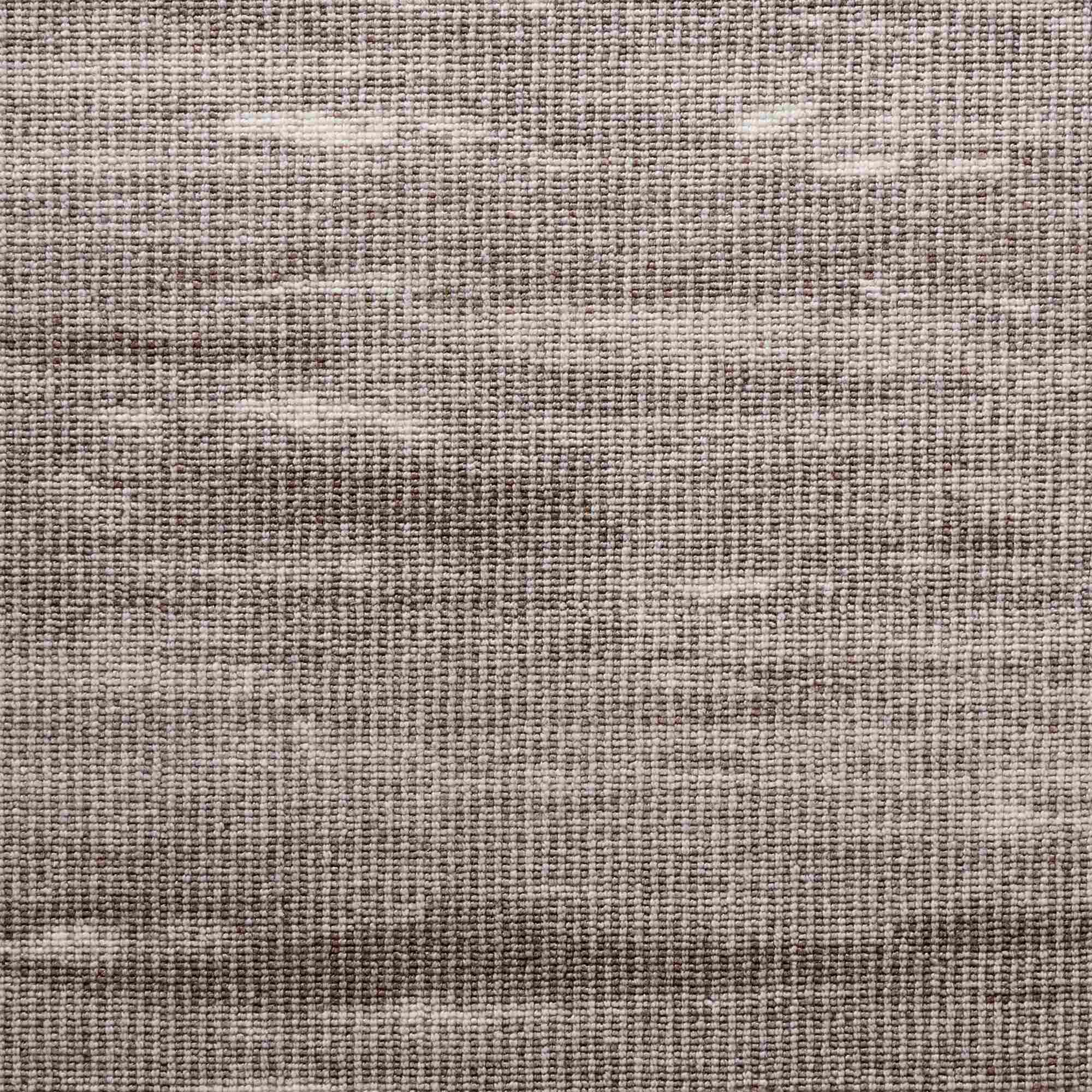 Tide Pool Sandy Shores