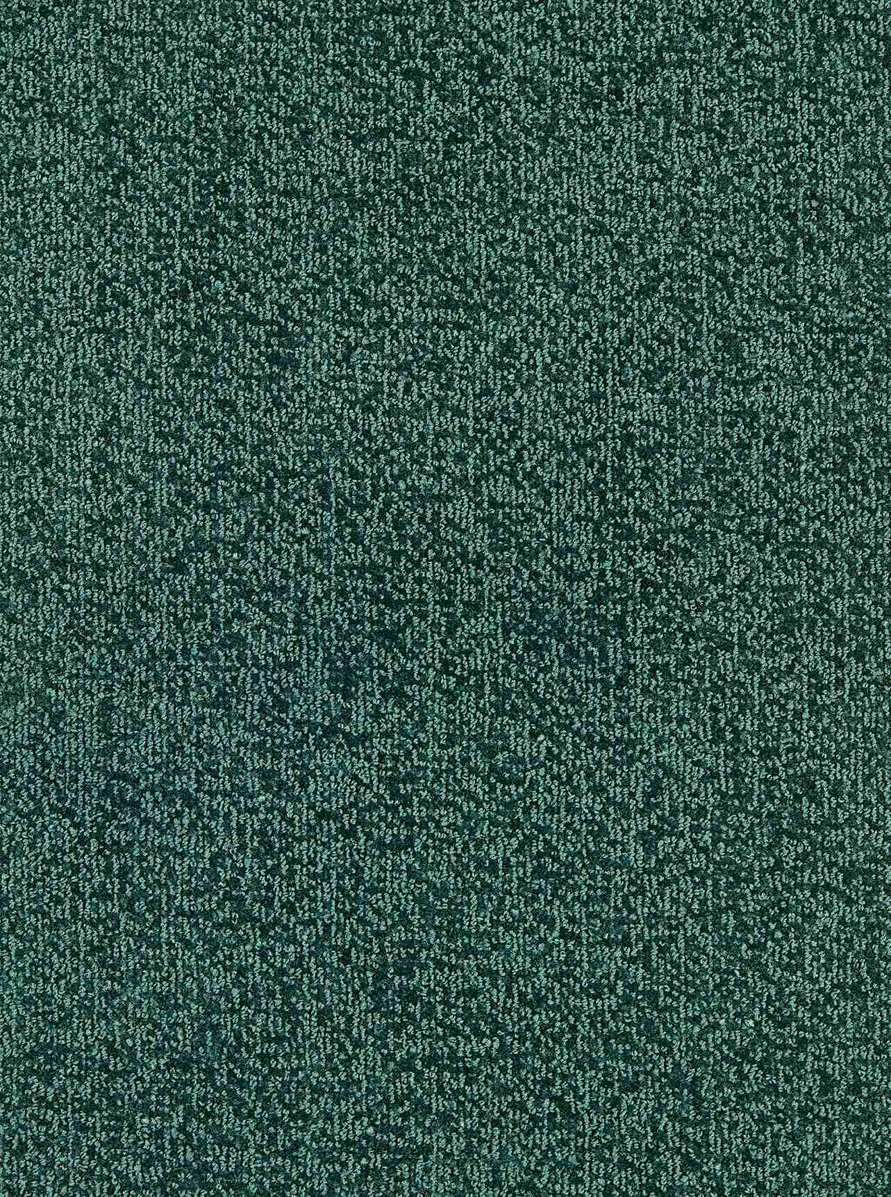 Zaza Cat Eye Glasses