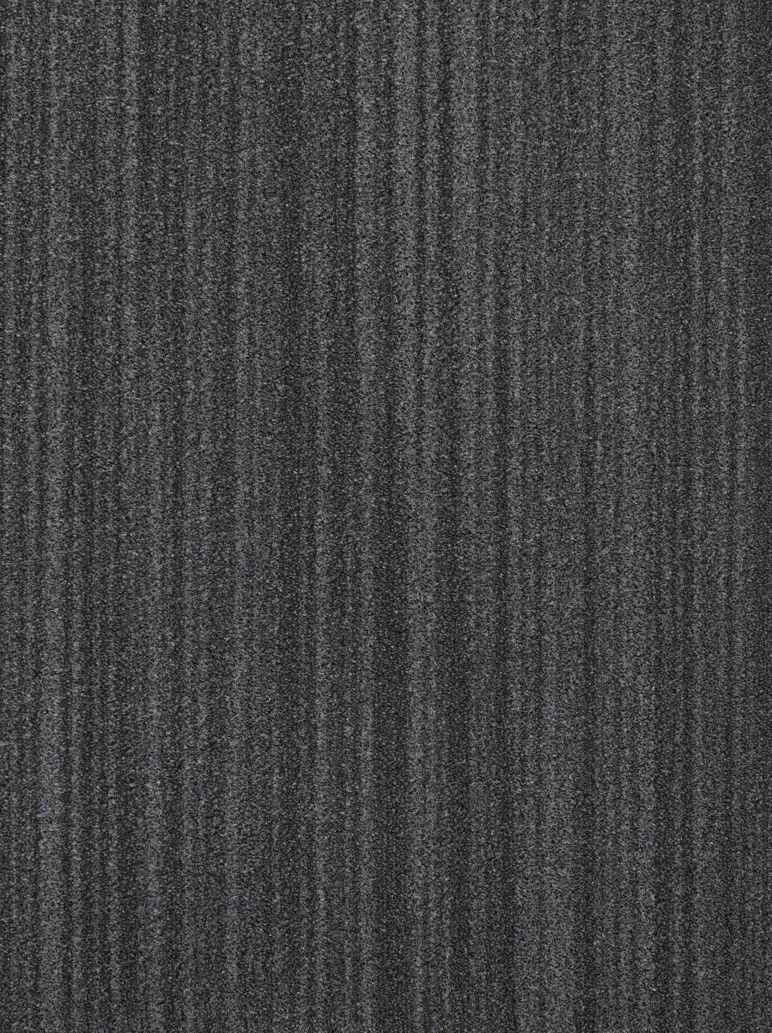 Zen Garden Harmonious