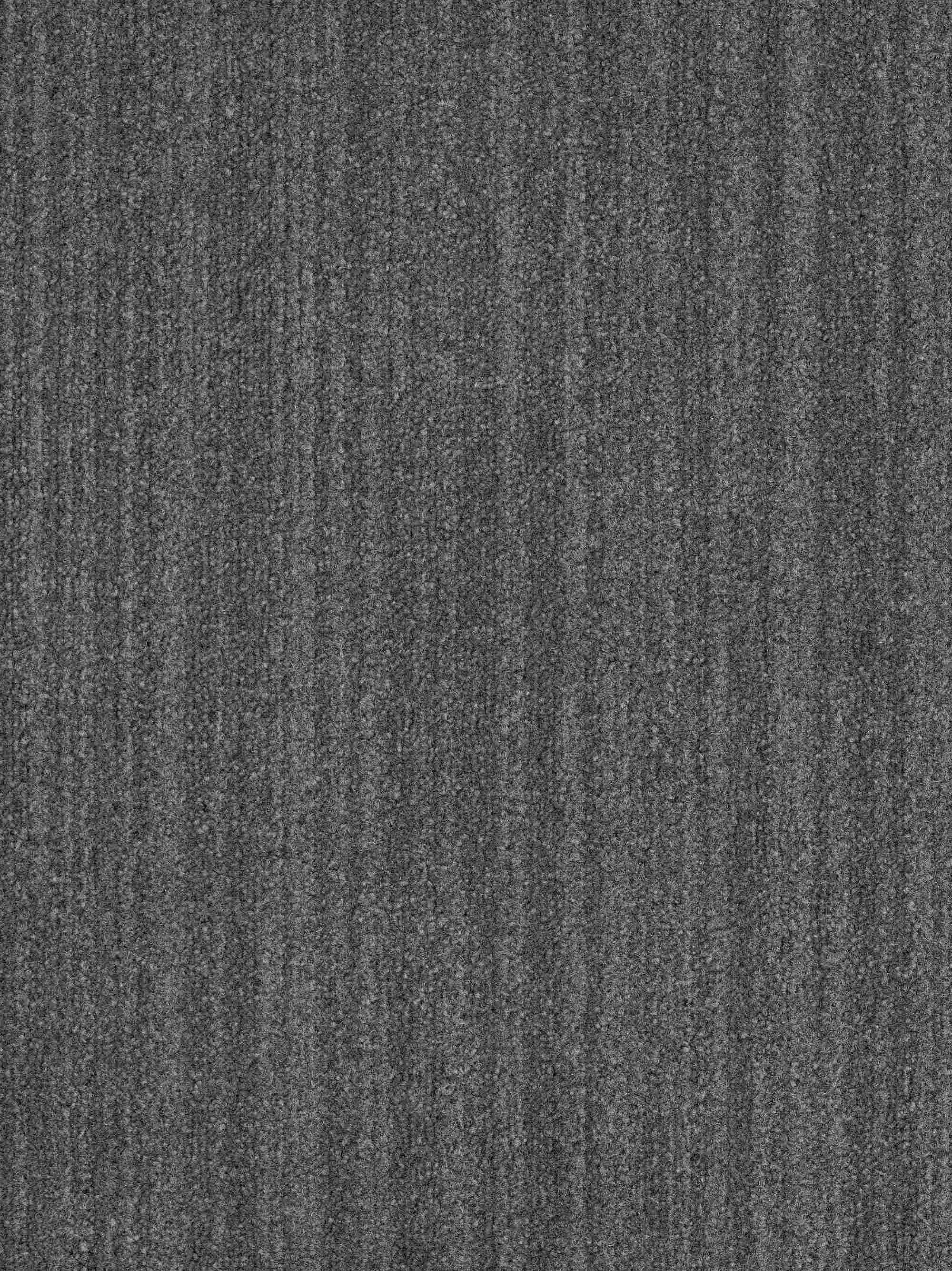 Zen Garden Phil Jackson