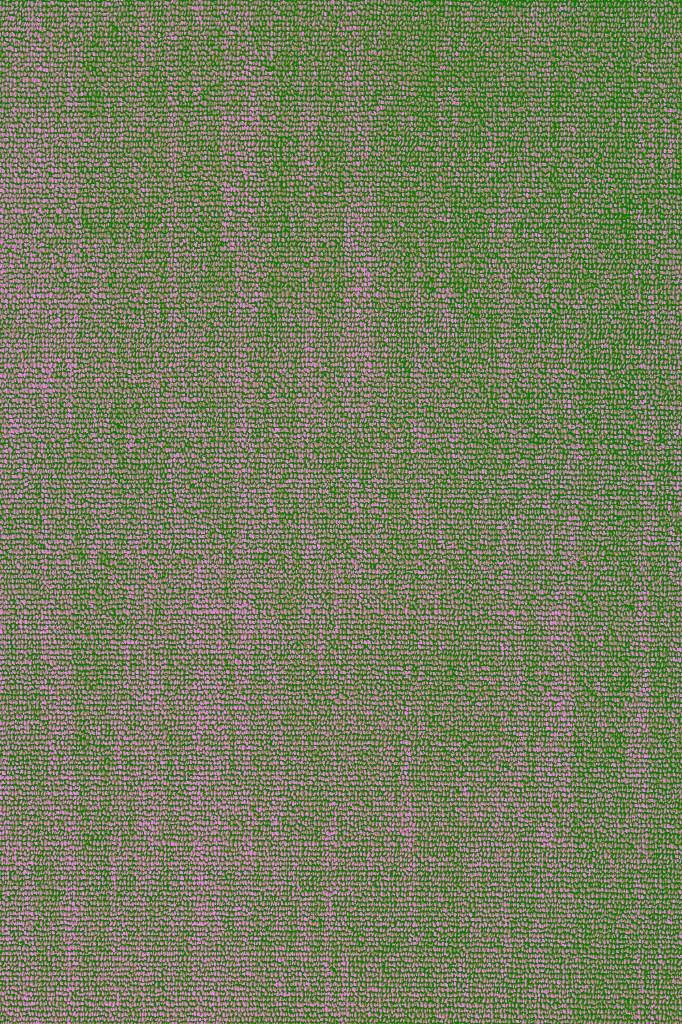 Current Sandy Shores