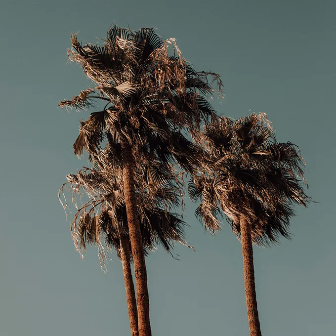 Coachella