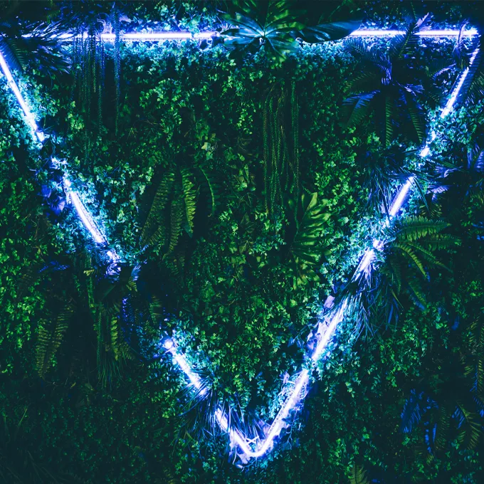 Ultra Music Festival