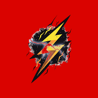 Flash Delivery