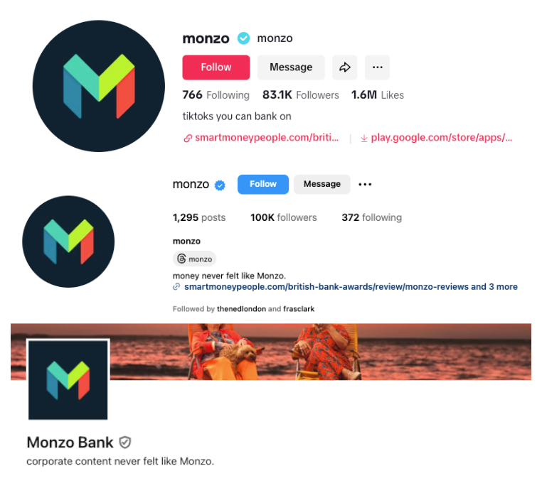 Monzo bio examples 