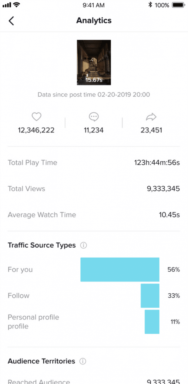 Beispiel für die Analyse eines TikTok-Videos