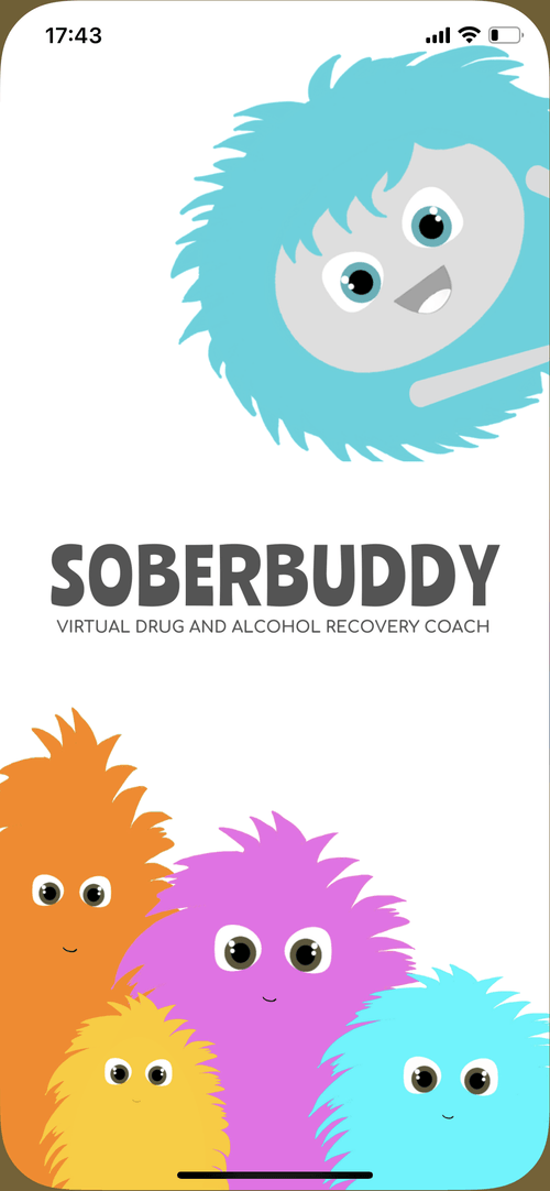 Screenshot of page from Sober Buddy app