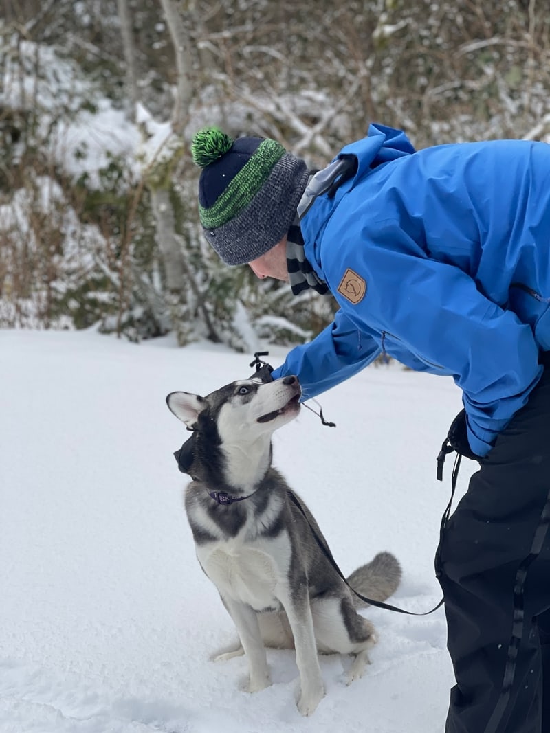 Luna, Blake's beloved husky